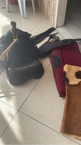 Cela boa Quarto de Milha, completa