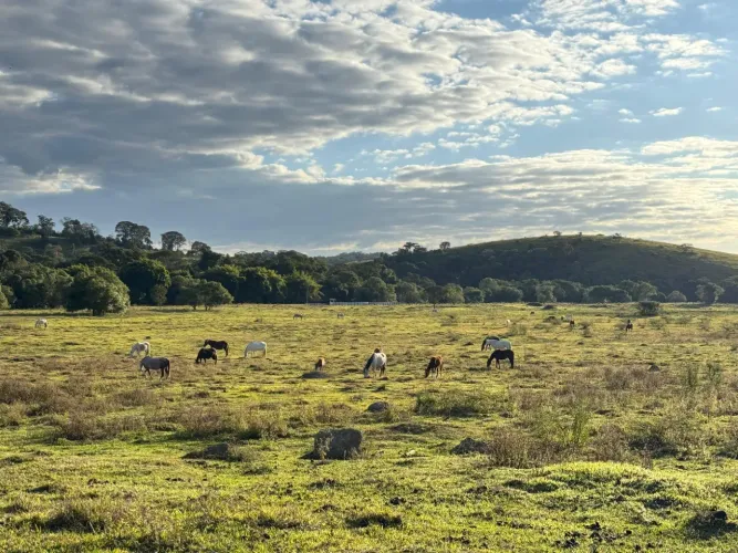 VENDA  Sítio de 45 hectares em Solade de Minas!!!