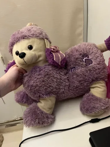 Cachorro de Pelúcia Roxo Grande
