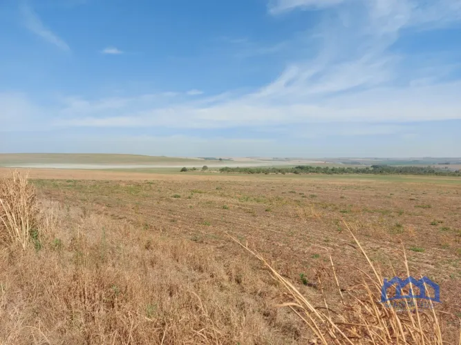 Sítio/Fazenda à Venda, 2.306 hectares por R$ 150.000.000 Cód. ch2276