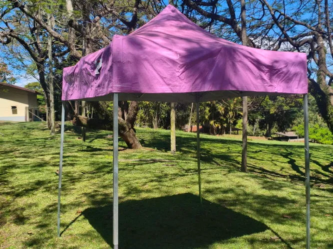 Tenda sanfonada 2x2 ferro Rosa