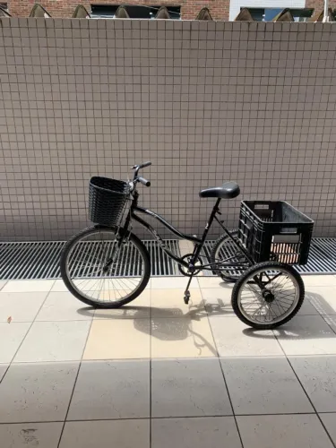 Bicicleta Triciclo com Cesta e Caixa de Carga