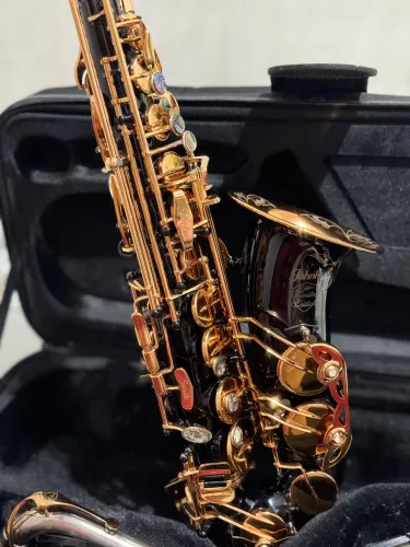 Sax Alto Jahnke Profissional | Excelente Estado | Pronto para Tocar | REVISADO