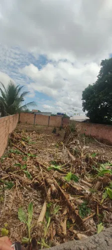 Vendo terreno em Manacapuru bairro União 100% murado 