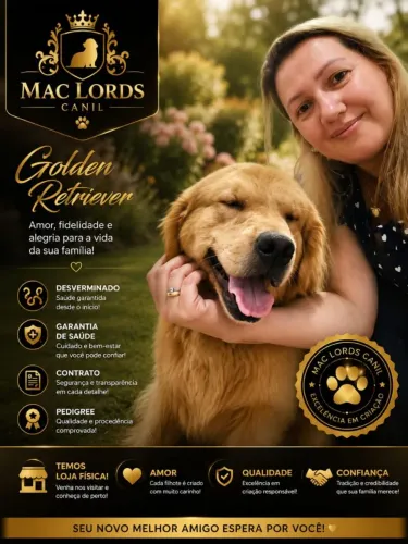 GOLDEN RETRIEVER COM PEDIGREE