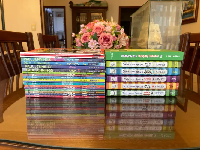 Lote com 25 livros infantis/juvenis