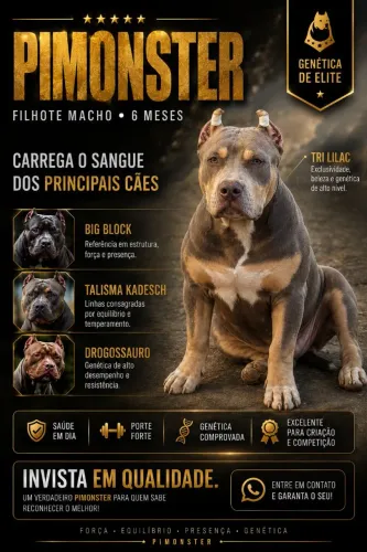 Pitmonster- 6 meses macho