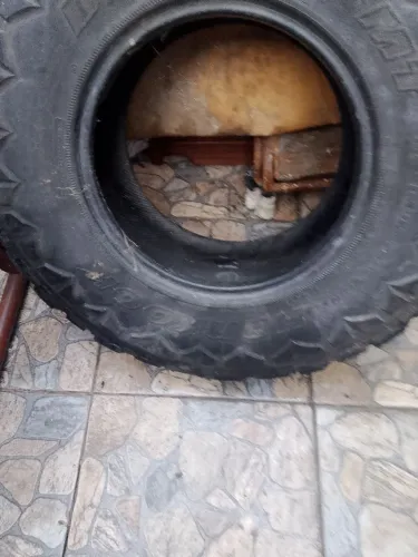 Pneu de caminhonete