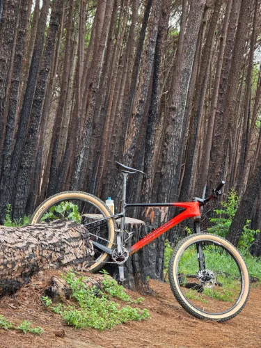 Bicicleta 29
