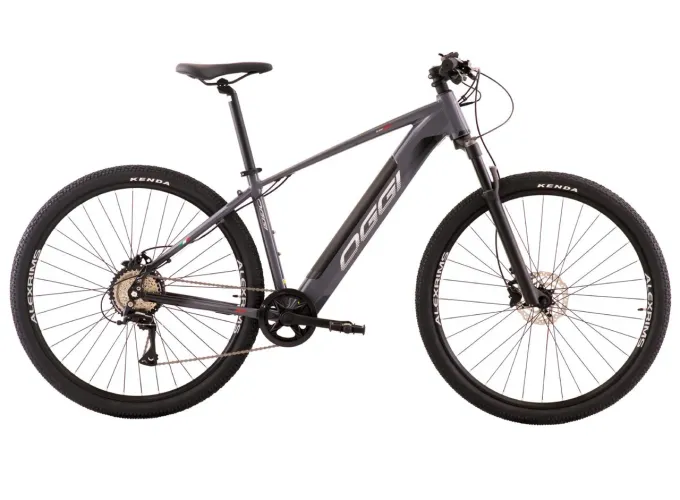 Vendo bike eletrica OGGI