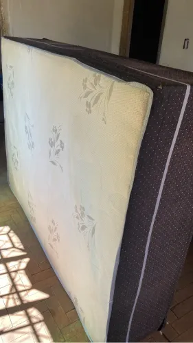 Cama