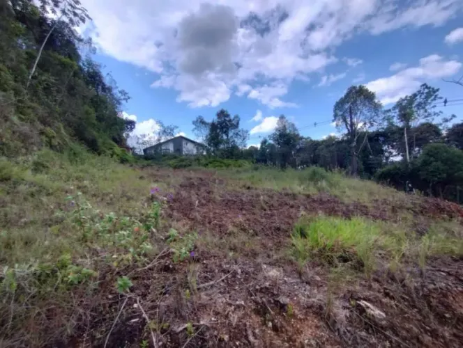 Terreno Amplo em Rua Sem Saída: Tranquilidade para Viver, Estratégia para Investir