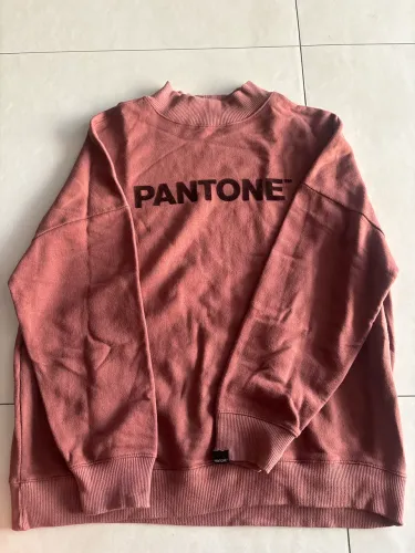 Moletom pantone marrom 