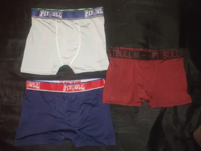 Cuecas Pitbull American 