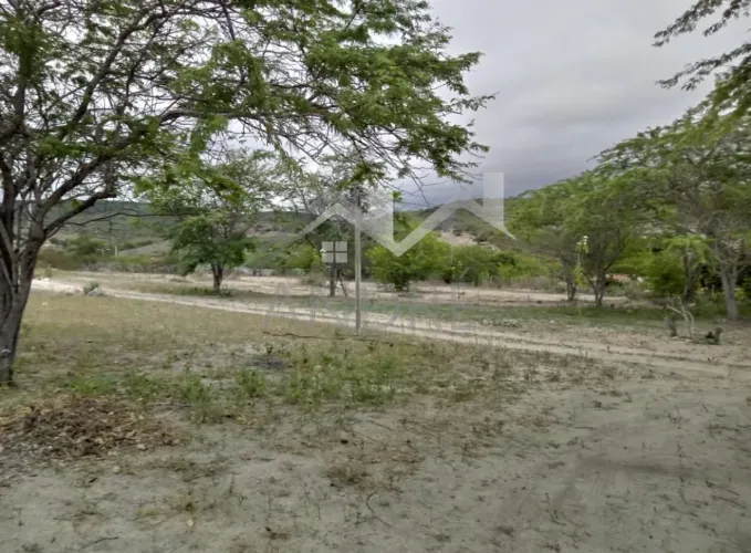 Terreno Rural para Venda em Bezerros, SITIO RIACHO VERDE