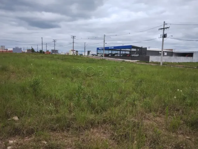 Terreno Padrão em Bagé