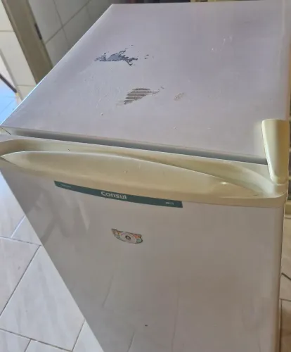 Freezer vertical consul