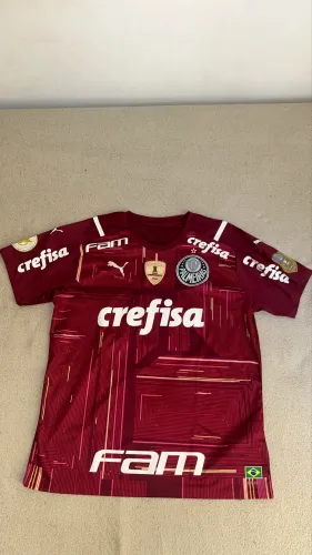 Camisa Palmeiras de Goleiro