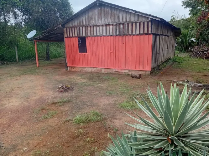 Venda