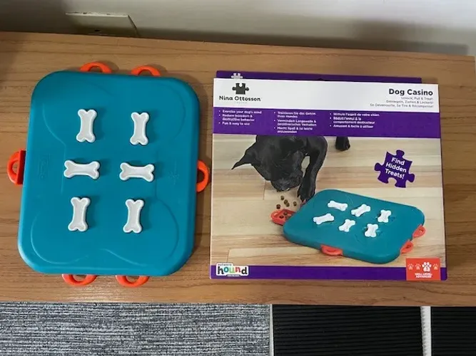 brinquedo interativo nina ottosson dog casino