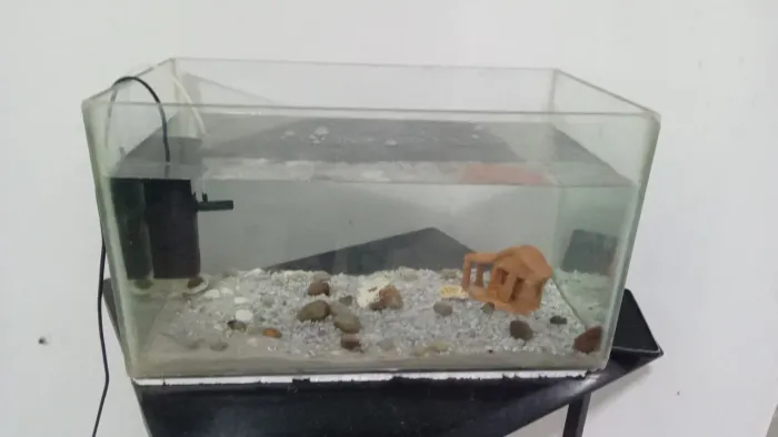 Aquário 50 Litros Completo