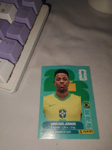 *Figurinha do Vinícius júnior BRA 14 *