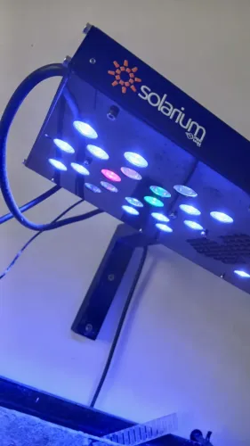 ITENS PARA AQUARIO MARINHO