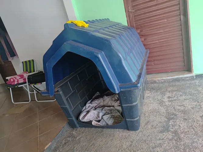Casinha de cachorro porte grande