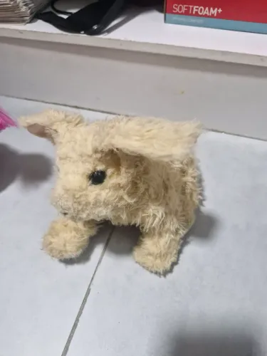 Brinquedo eletrônico