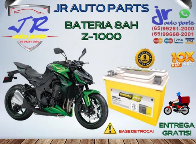 Bateria Pioneiro 8AH Z-1000
