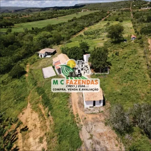 Fazenda à Venda em Jeremoabo - BA | 32 Hectares | 6.800 Pés de Pitaia