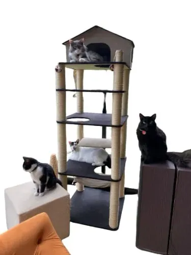 Arranhador para gato