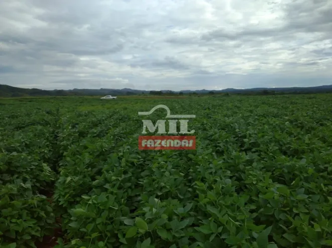 Fazenda em Silvanópolis-TO. (Ótimo Aproveitamento). . 330 Alq. (1.597 Há)