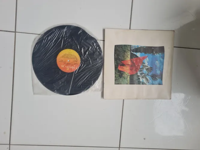 DISCO DE VINIL(LP) ORIGINAL PINK FLOYD