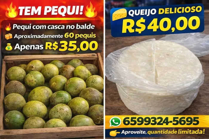 Vende-se pequi e queijo 
