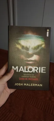 DESAPEGO - Livro Malorie. Sequência do Fenômeno Mundial Caixa de Pássaros