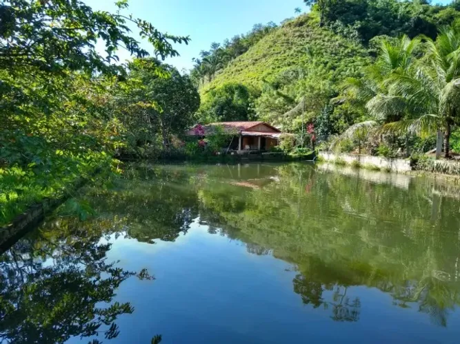 Chácara à venda em Taquaruçu 5.9 alqueires (28,56 ha)