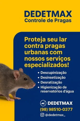 Dedetização