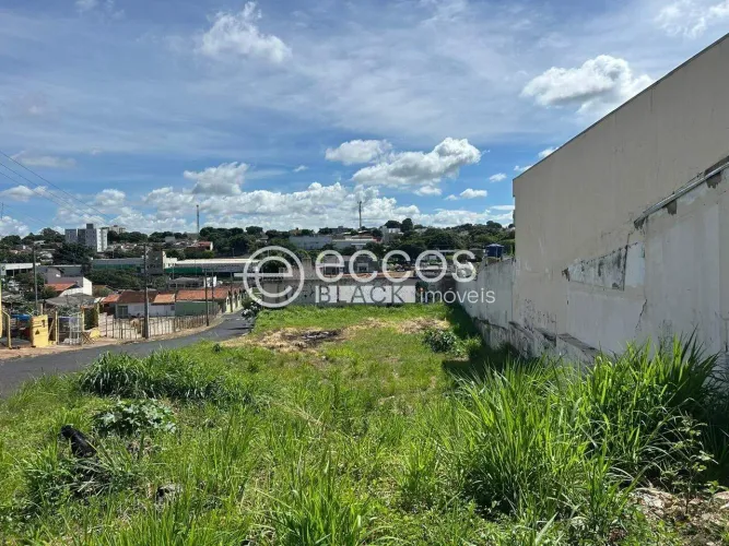 Terreno à venda, Martins - Uberlândia/MG