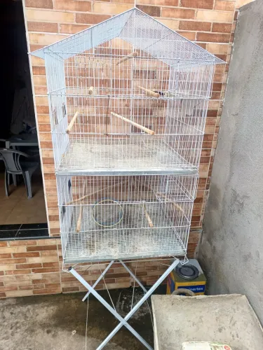 Vende se viveiro para criação de pássaros