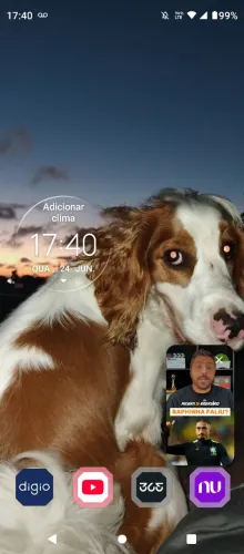 Procura se uma namorada por meu cachorro