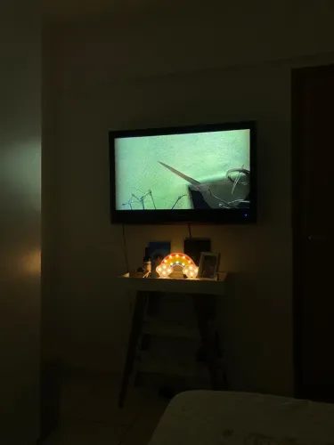 Televisão