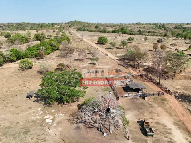 Fazenda 52 Alqueires (251,68 Hectares) Lua Nova - GO