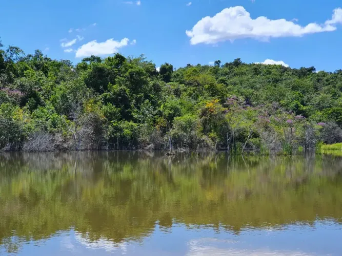 Terreno Plano Terra Roxa e Lagoa nos Fundos 180 mil mais 24 Parcelas de 1.500,00