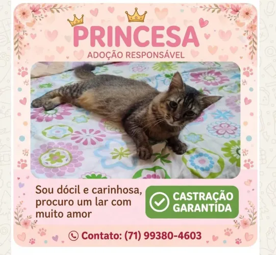 Gata
