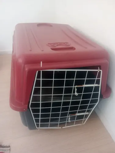 Casinha Mokoi 4