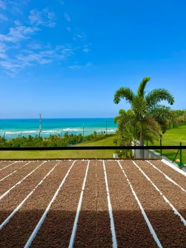 Casa Alto Padrao, 479m2 de area util, Vista panorâmica para o mar de maceio!!