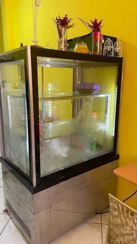 Vitrine refrigerada vertical