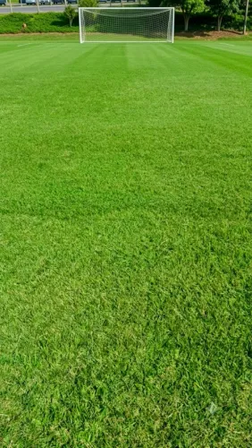 Serviços de roçagem e limpeza de terrenos e lotes