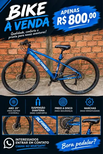 Bike ARO 29-ALFAMEQ